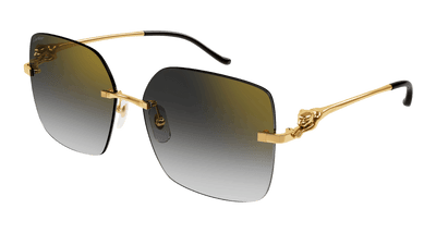 Cartier CT0359S