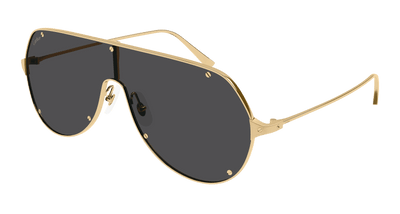 Cartier CT0324S