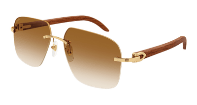 Cartier CT0041RS