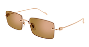 Cartier CT0367S Sunglasses - Copper / Gold (001)