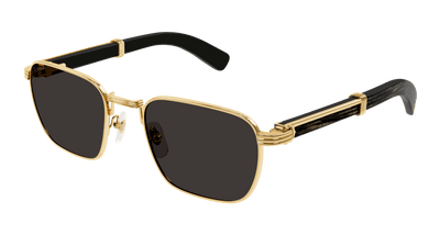 Cartier CT0363S
