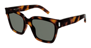 Saint Laurent SL 507 Sunglasses - Havana / Green (003)