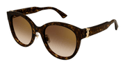 Cartier CT0438SA Sunglasses - Havana / Brown (002)