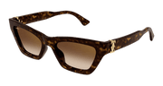 Cartier CT0437S Sunglasses - Havana / Brown (002)