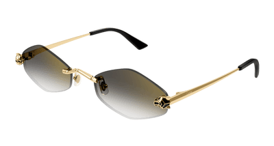 Cartier CT0433S