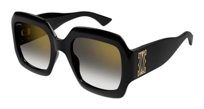 Cartier CT0434S