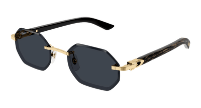 Cartier CT0439S