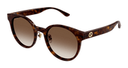 Gucci GG1339SK Sunglasses - Havana / Brown (003)