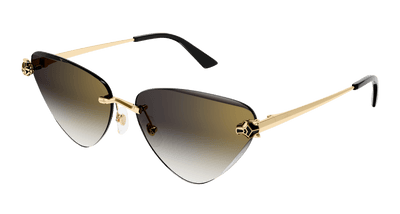 Cartier CT0399S