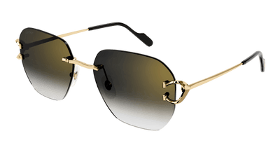 Cartier CT0394S