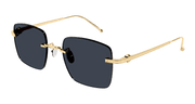 Cartier CT0403S Sunglasses - Gold / Grey (002)