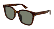 Gucci GG1346SK Sunglasses - Havana / Green (003)