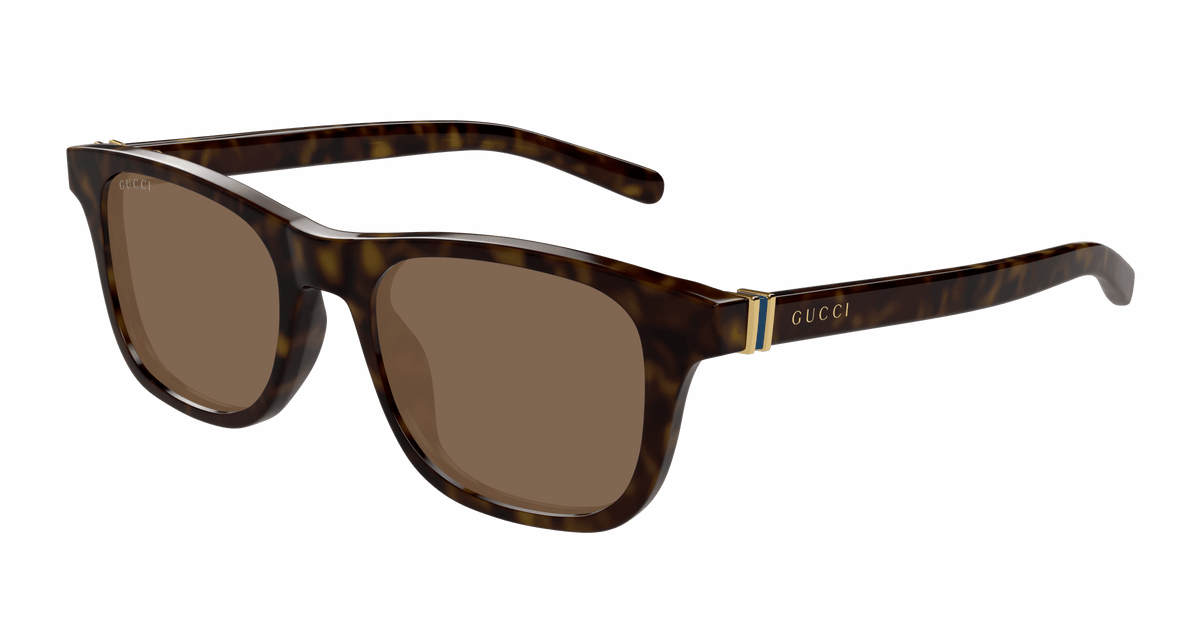 Gucci GG1671S Sunglasses - Havana / Brown (006)