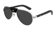 Cartier CT0495S Sunglasses - Silver / Smoke (003)
