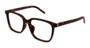 Saint Laurent SL M142/F Eyeglasses - Havana / Transparent (002)