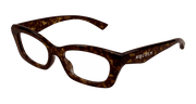 Alexander McQueen AM0474O Eyeglasses - Havana / Transparent (002)