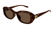 Alexander McQueen AM0470SA Sunglasses - Havana / Brown (002)