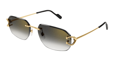 Cartier CT0468S