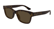 Gucci GG1716S Sunglasses - Havana / Brown (002)