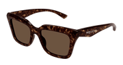 Alexander McQueen AM0473SA Sunglasses - Havana / Brown (002)