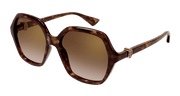 Cartier CT0470S Sunglasses - Havana / Brown (002)