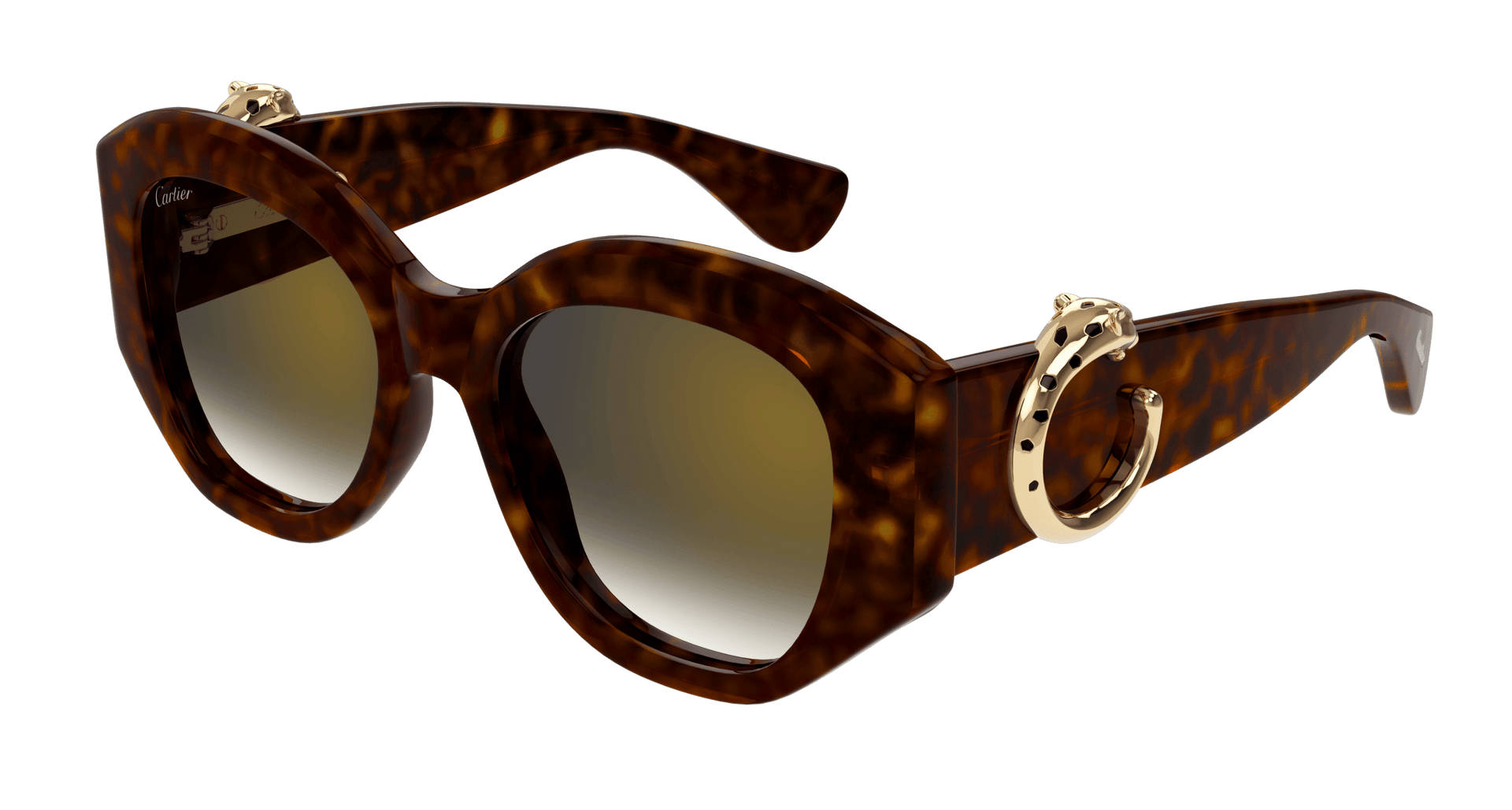 Cartier CT0502S Sunglasses - Havana / Green (002)