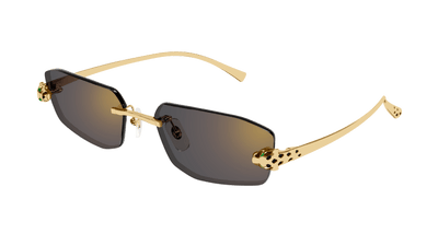 Cartier CT0474S