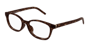 Saint Laurent SL M141/F Eyeglasses - Havana / Transparent (005)