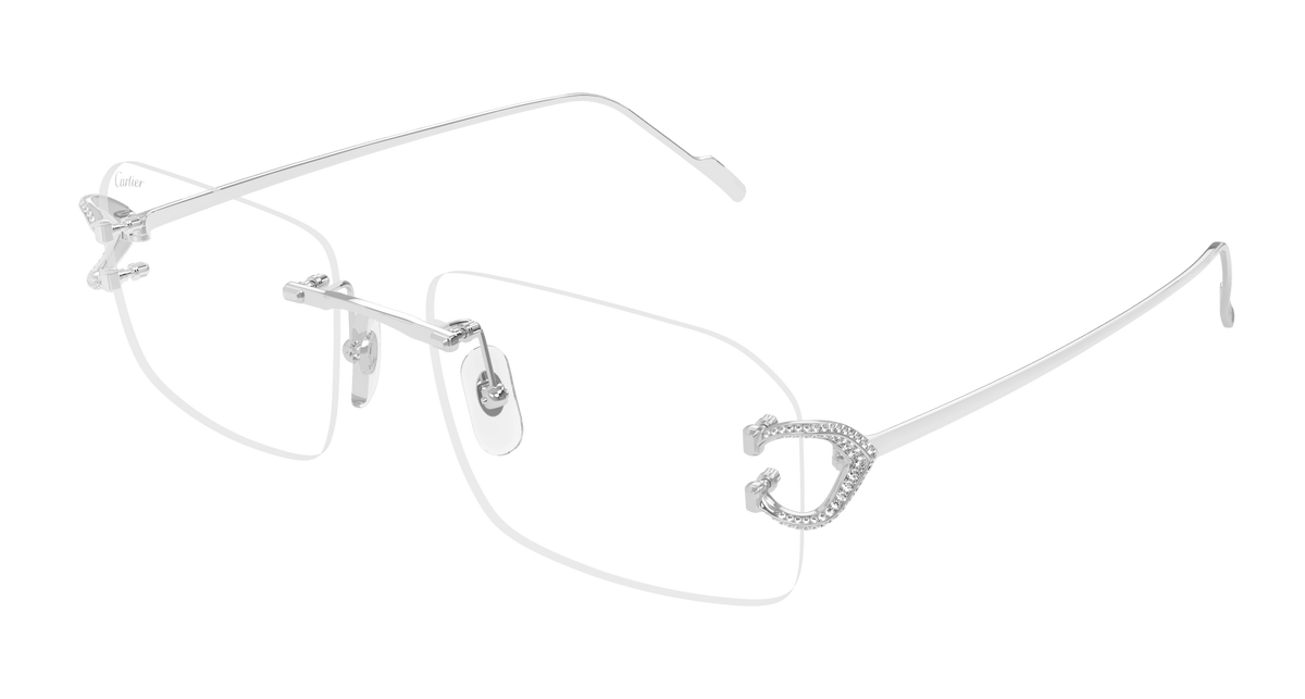 Cartier CT0489S Sunglasses - Silver / Transparent (001)