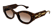 Gucci GG1553S Sunglasses - Havana / Brown (002)