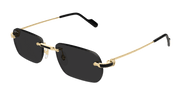 Cartier CT0498S Sunglasses - Gold / Grey (001)