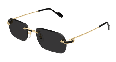 Cartier CT0498S