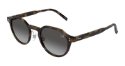 Dunhill DU0113S Sunglasses - Havana / Smoke (004)
