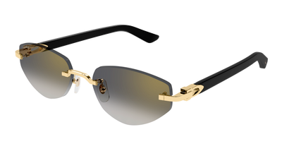 Cartier CT0580S