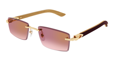 Cartier CT0582S