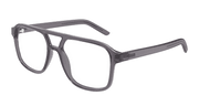 Puma PU0495O Eyeglasses - Grey / Transparent (002)