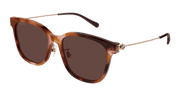 Gucci GG1884SK Sunglasses - Havana / Brown (004)
