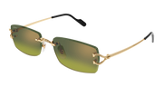 Cartier CT0550S Sunglasses - Gold / Green (006)