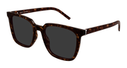 Saint Laurent SL M146/K Sunglasses - Havana / Grey (002)