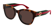 Gucci GG1866SK Sunglasses - Havana / Brown (002)