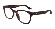 Puma PU0486O Eyeglasses - Havana / Transparent (002)