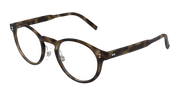 Dunhill DU0115O Eyeglasses - Havana / Transparent (003)