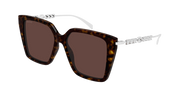 Gucci GG1967S Sunglasses - Havana / Brown (003)