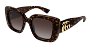 Gucci GG1975S Sunglasses - Havana / Brown (003)