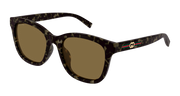 Gucci GG1984SK Sunglasses - Havana / Brown (003)
