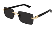 Cartier CT0579S Sunglasses - Gold / Grey (005)