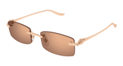 Cartier CT0552S Sunglasses - Copper / Gold (003)