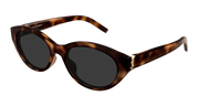 Saint Laurent SL M148 Sunglasses - Havana / Grey (003)