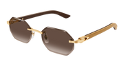 Cartier CT0439S Sunglasses - Gold / Brown (006)
