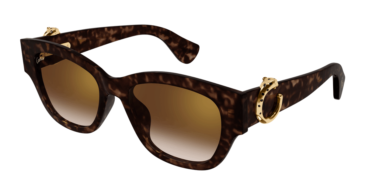 Cartier CT0548SA Sunglasses - Havana / Brown (002)